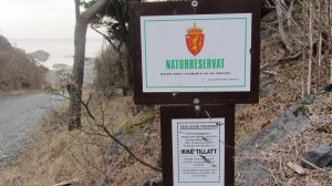 Steinvika er et fredet sted