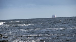 Hirtshals neste