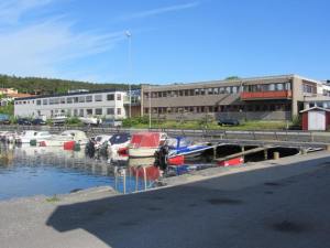 Skarpenord, sett fra Kuskjær