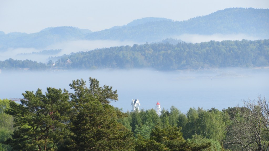 Figgeskjær når morgentåken letter