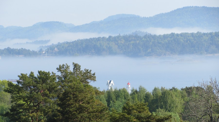 Figgeskjær når morgentåken letter