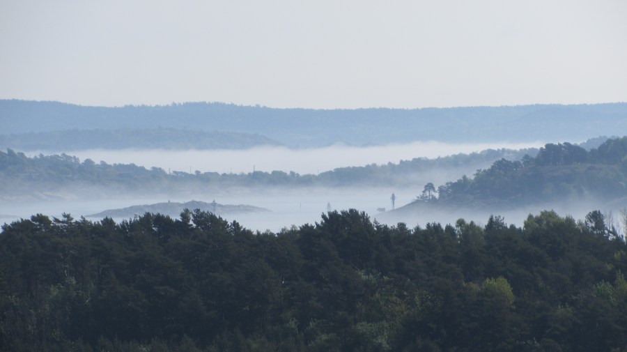 Dypingen i morgentåke