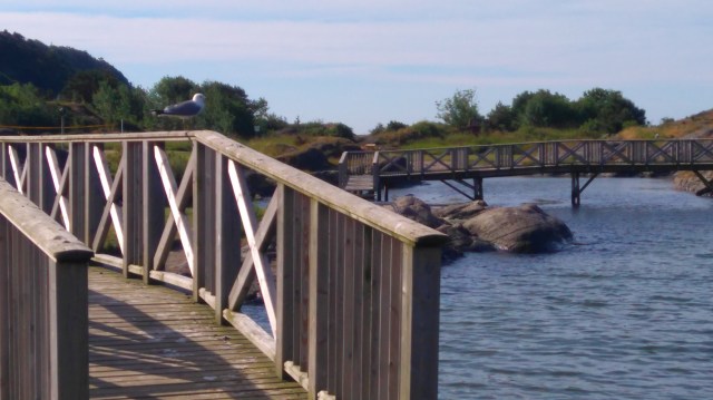 Krogshavn ligger ved sjøen og har gangbruer, badetrapper, en liten strand samt to store gressletter