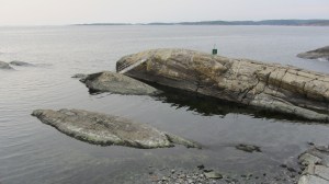 Steinvika (guttesteinvika)