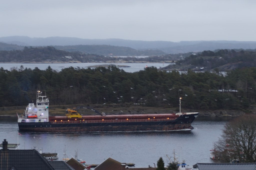 Skip passerer gjennom Langesundet